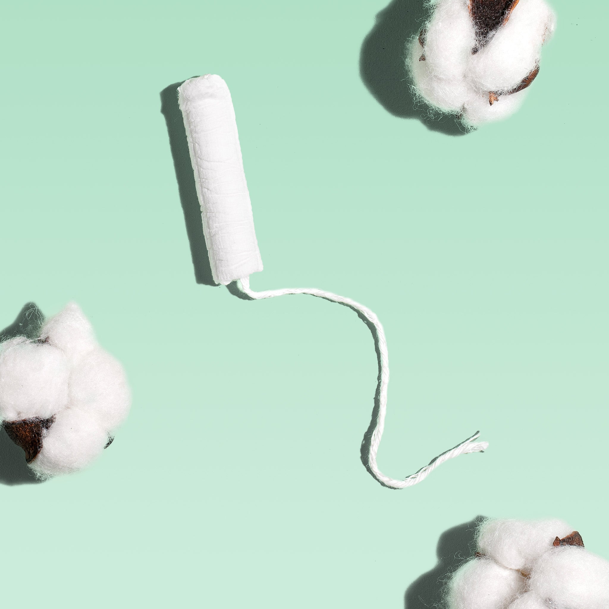Regular Cardboard Applicator Tampons Made With Organic Cotton